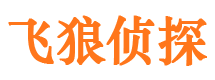 武侯市婚姻出轨调查